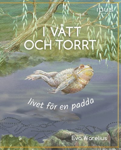 Cover for Eva Warelius · I vått och torrt : livet för en padda (Bound Book) (2022)
