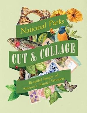 Cover for Earth Aware Editions · Cut &amp; Collage National Parks: Beautiful Images of America's Natural Wonders (Paperback Book) (2025)