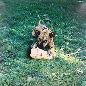 Cover for Joyce Manor · Cody (Blue) (LP) (2019)