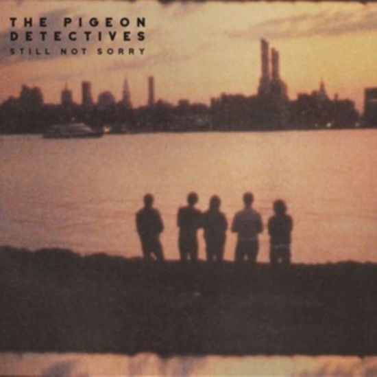 Cover for Pigeon Detectives · Still Not Sorry (LP) (2025)