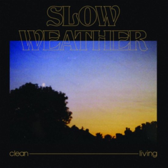 Cover for Slow Weather · Clean Living (LP) [EP edition] (2020)