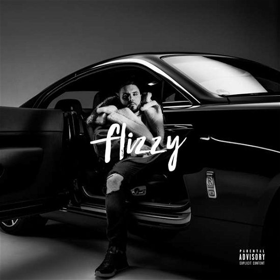 Cover for Fler · Flizzy (Bog) (2018)