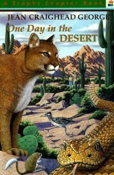 Cover for George · One Day in the Desert Pb (Paperback Book) (1996)