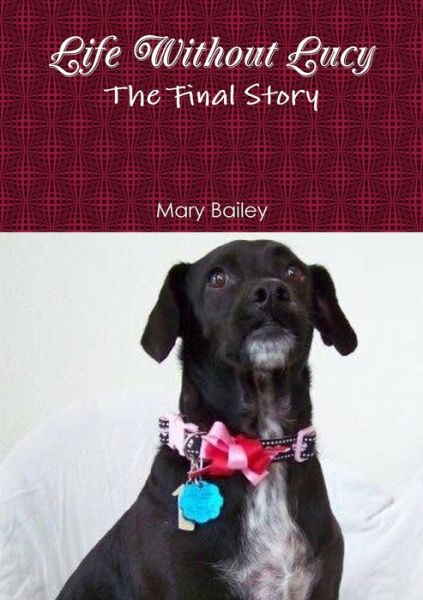 Cover for Mary Bailey · Life Without Lucy (Book) (2018)