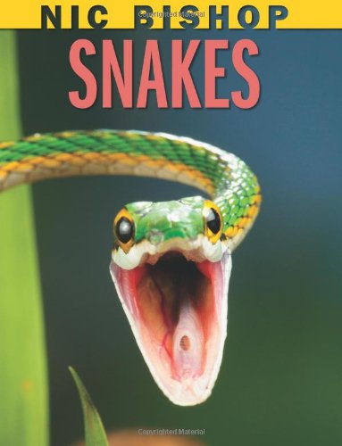 Cover for Nic Bishop · Nic Bishop Snakes (Hardcover Book) (2012)