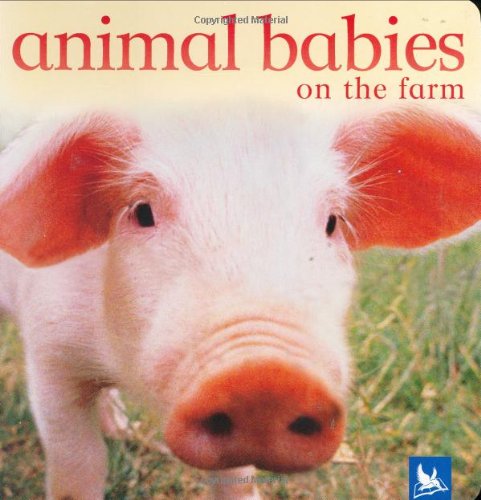 Cover for Editors of Kingfisher · Animal Babies on the Farm (Board book) [Brdbk edition] (2005)