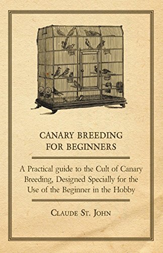 Cover for Claude St John · Canary Breeding for Beginners - a Practical Guide to the Cult of Canary Breeding, Designed Specially for the Use of the Beginner in the Hobby. (Paperback Book) (2007)