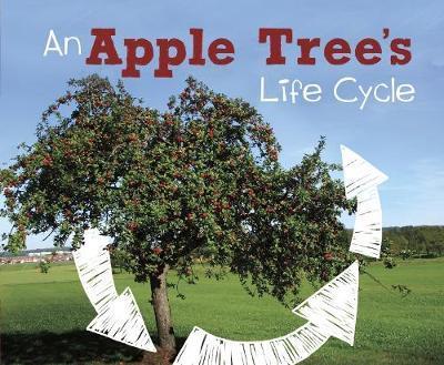 Cover for Mary R. Dunn · An Apple Tree's Life Cycle - Explore Life Cycles (Paperback Book) (2018)