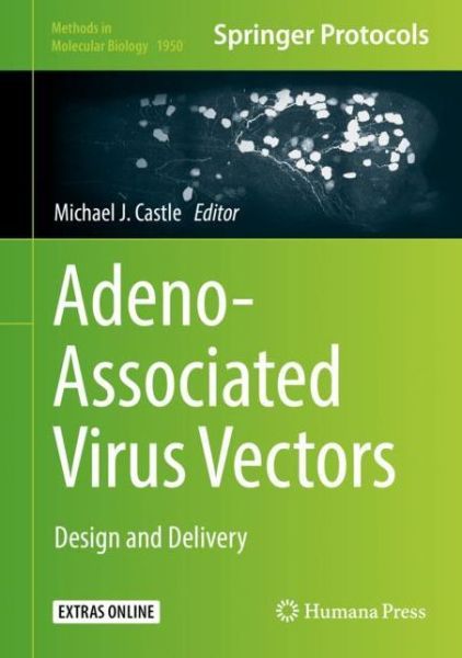 Cover for Adeno Associated Virus Vectors (Book) [1st ed. 2019 edition] (2019)