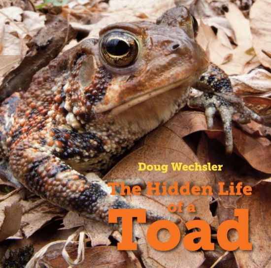 Cover for Doug Wechsler · The Hidden Life of a Toad (Hardcover Book) (2017)