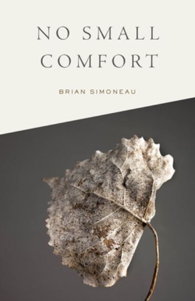 Cover for Brian Simoneau · No Small Comfort (Paperback Book) (2021)