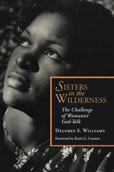 Cover for Delores S. Williams · Sisters in the Wilderness: The Challenge of Womanist God-talk (Taschenbuch) (2013)