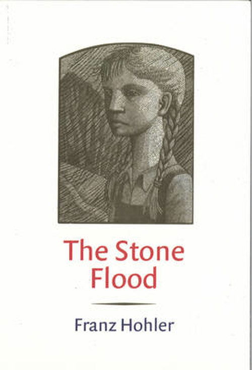 Cover for Franz Hohler · The Stone Flood (Paperback Book) (2014)