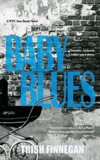 Cover for Trish Finnegan · Baby Blues (Book) (2023)