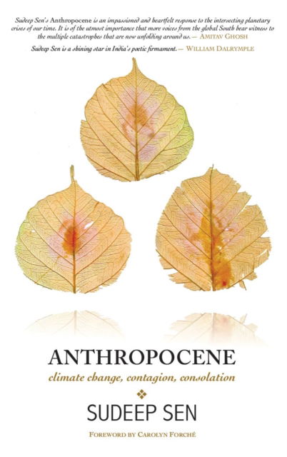 Anthropocene: Climate Change, Contagion, Consolation - Sudeep Sen - Books - Salt Desert Media Group Ltd. (SDMG) - 9781913738389 - December 2, 2021