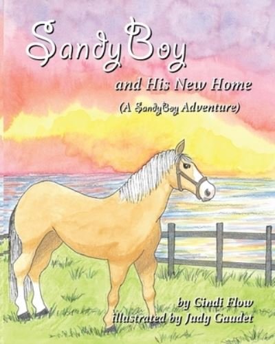 Cover for Cindi Flow · SandyBoy and His New Home (A SandyBoy Adventure) (Pocketbok) (2021)
