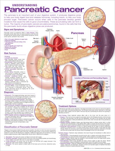 Cover for Acc · Understanding Pancreatic Cancer Anatomical Chart (Landkarten) (2022)