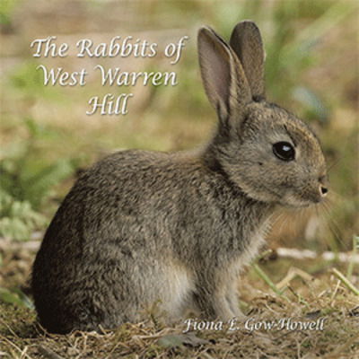 Cover for Fiona E Gow-Howell · The Rabbits of West Warren Hill (Paperback Book) (2020)