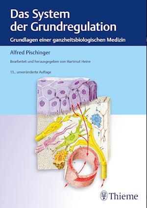 Cover for Alfred Pischinger · Das System Der Grundregulation: Grundlagen Einer G (Book) (2024)