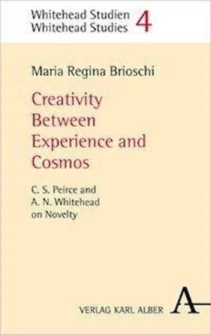 Cover for Brioschi · Creativity Between Experience (Book) (2020)