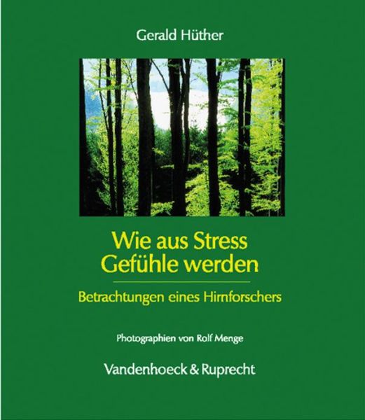 Cover for Gerald Hüther · Wie Aus Stress Gefuhle Werden (Hardcover Book) (2012)