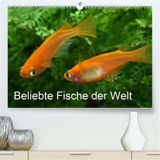 Cover for Pohlmann · Beliebte Fische der Welt (Prem (Book)