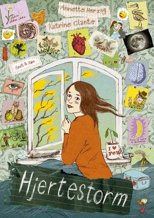 Cover for Annette Herzog; Katrine Clante; Rasmus Bregnhøi · Hjertestorm (Sewn Spine Book) [1er édition] (2016)