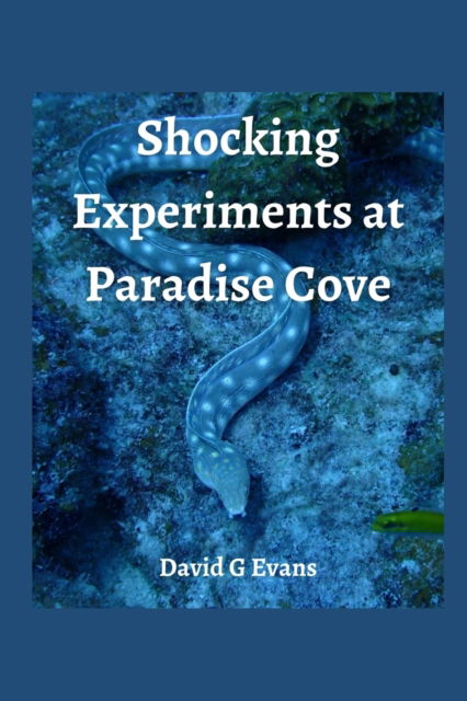 Cover for David G Evans · Shocking Experience at Paradise Cove (Paperback Book) (2022)