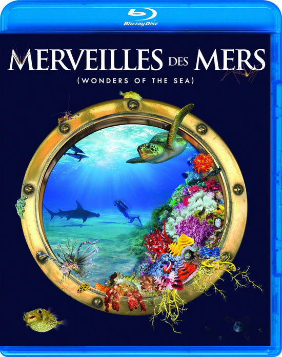 Cover for Documentaire · Merveilles Des Mers (2017) (Fr / En) [blu-ray] (DVD) (2021)