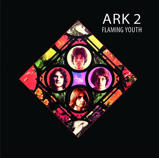 Cover for Flaming Youth · Ark 2 (LP) (2024)