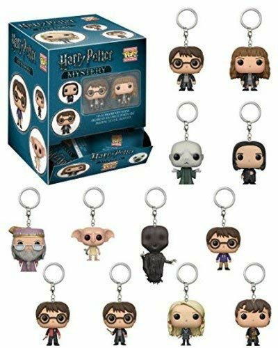 Cover for Keychain Harry Potter · Keychain Harry Potter One Random Key Chain Per (Funko POP!) (2017)