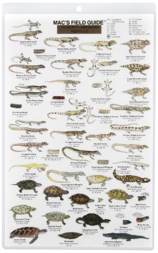 Mac's Field Guide to Reptiles of North America  Laminated Card (Mac's Guides) - Craig Macgowan - Other - Mountaineers Books - 9780898863390 - December 31, 1992