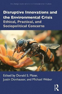 Cover for Disruptive Innovations and the Environmental Crisis: Ethical, Practical, and Sociopolitical Concerns - Routledge Explorations in Environmental Studies (Paperback Book) (2025)