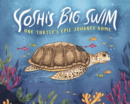 Cover for Mary Wagley Copp · Yoshi's Big Swim: One Turtle's Epic Journey Home (Inbunden Bok) (2023)