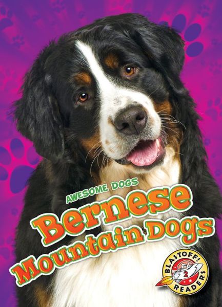 Cover for Rebecca Sabelko · Bernese Mountain Dogs (Hardcover Book) (2019)