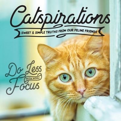 Cover for Willow Creek Press · Catspirations (Hardcover Book) (2019)