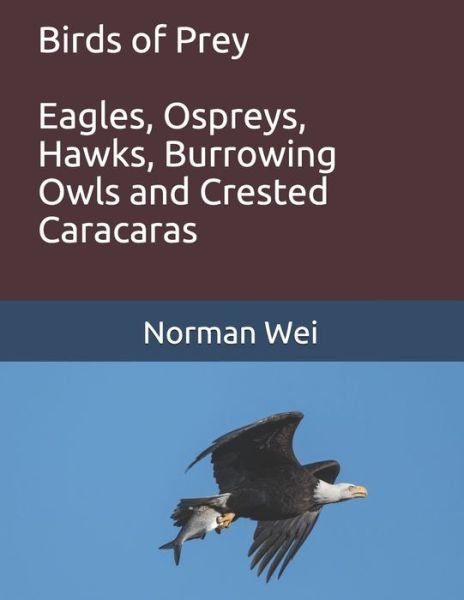 Birds of Prey - Norman Wei - Libros - Independently Published - 9781700905390 - 7 de noviembre de 2019