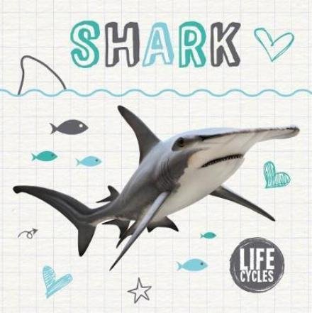 Cover for Holly Duhig · Shark - Life Cycles (Inbunden Bok) (2018)