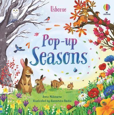 Cover for Anna Milbourne · Pop-up Seasons - Pop-Ups (Board book) (2025)