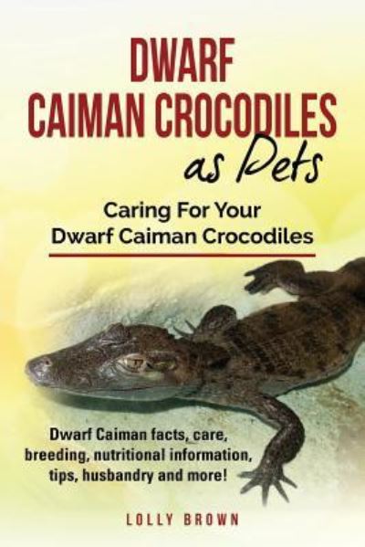 Cover for Lolly Brown · Dwarf Caiman Crocodiles as Pets (Paperback Book) (2017)