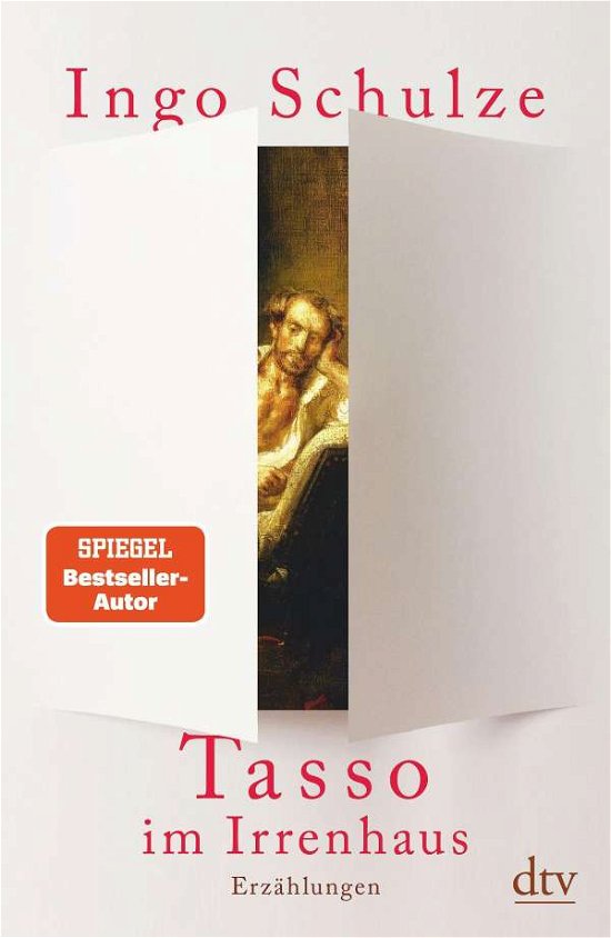 Cover for Schulze · Tasso im Irrenhaus (Buch)