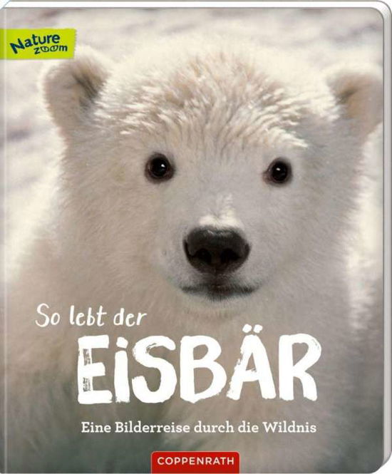 Cover for Sandra Noa · So lebt der Eisbär (Innbunden bok) (2020)