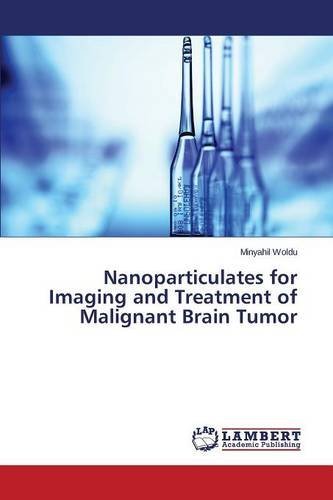 Cover for Woldu Minyahil · Nanoparticulates for Imaging and Treatment of Malignant Brain Tumor (Paperback Book) (2014)