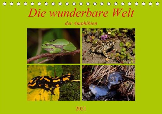 Cover for Erlwein · Die wunderbare Welt der Amphibi (Book)
