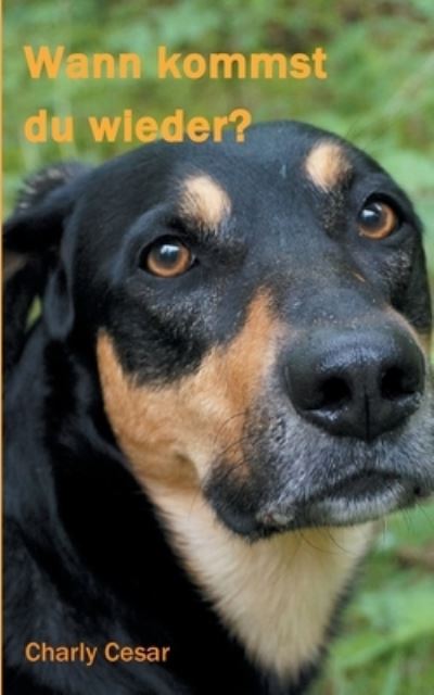 Cover for Charly Cesar · Wann kommst du wieder? (Paperback Book) (2021)
