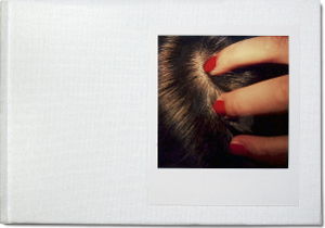 Polaroid SX-70 Bengt-Arne Falk - Niclas Östlind - Books - Art and Theory - 9789198157390 - December 23, 2014