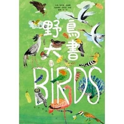 Cover for Yuval Zommer · The Big Book of the Bird (Inbunden Bok) (2020)
