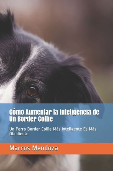 Cover for Marcos Mendoza · Como Aumentar la Inteligencia de Un Border Collie: Un Perro Border Collie Mas Inteligente Es Mas Obediente (Taschenbuch) (2021)
