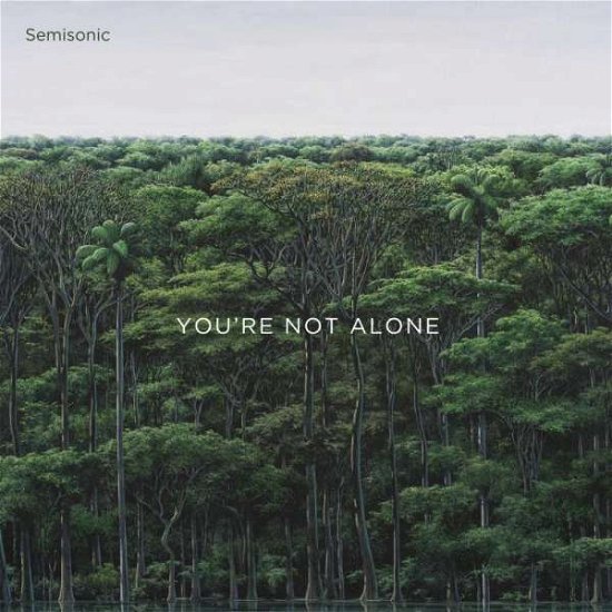 You're Not Alone - Semisonic - Musikk - POP - 0020286232391 - 18. september 2020