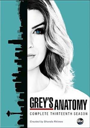 Cover for Grey's Anatomy: Complete Season 13 (DVD) (2017)